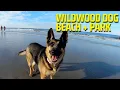Wildwood Dog Beach Park Tour