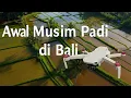 Download Lagu Awal Musim Padi ⎮by Lensa Terbang