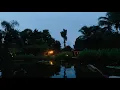 Meditation Music (Psilocybe Mix) ft. Singtree - Solar Quest [Phone edit]