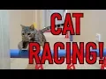 CAT RACING DAY
