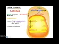 Human Anatomy Physiology Chapter 4 Cellular Metabolism