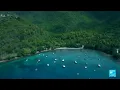 Download Lagu Guadeloupe: Treasures of the butterfly archipelago • FRANCE 24 English