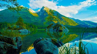 Beautiful Lake In Nature No Sound 4K UHD 