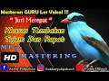 Download Lagu MASTERAN GURU VOKAL - Masteran Burung Lomba Full Variasi Tembakan Tajam Dan Kasar