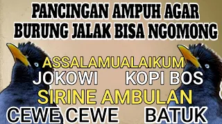 Download JALAK KEBO BISA NGOMONG || MASTERAN JALAK KEBO NGOMONG // 100% PALING AMPUH UNTUK PANCINGAN MP3