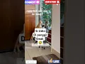 Download Lagu video lucu,intip tetangga berantem 😅‼️#trending #shortvideo #shorts #yoitubeshorts