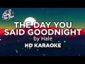 THE DAY YOU SAID GOODNIGHT – HALE | HD KARAOKE WITH LYRICS | OPM ROCK KARAOKE
