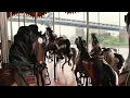 What to do in New York City - Janes Carousel at Brooklyn Bridge Park
