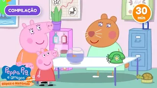 Doutora Hamster Voadora e o Trem do Vovô! 🚁🚂l Peppa Pig e Mais em Português - Clipes e Histórias