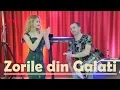 Download Lagu Zorile din Galati - Tu esti steaua mea #new #remix #2019 #live