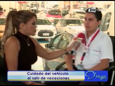 Cuidado del vehículo al salir de vacaciones