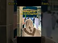 Download Lagu Meaning of surah Al -ikhlas..♥️ #Humood Kun anta#quran #shorts #islam