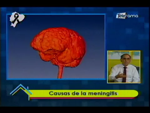 Causas de la meningitis
