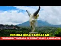 Download Lagu BLUSUKAN DI DESA TAMBAKAN || SALAH SATU DESA DI PELOSOK YANG BERBATASAN DENGAN 3 KABUPATEN