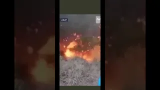 حرائق الجزائر النيران تمشي كأنها بشر شي غريب 