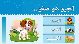 ثقف طفلك مسابقات تعليمية للأطفال تحدي الأذكياء أسئلة و أجوبة للأطفال Magic Land 