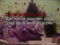 Download Lagu Koos Alberts -  Zijn het je ogen ( KARAOKE ) Lyrics