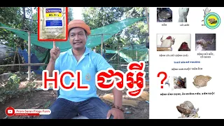 HCL 99