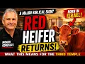A Red Heifer Born in Israel Why It Matters Mondo Gonzales