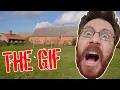 The Gif