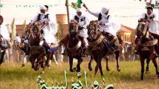 محمد حسن مجرودة الفاتح 