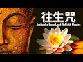 往生咒 Amitabha Pure Land Rebirth Mantra