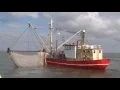 Download Lagu Burdy - De vissers van Zoltkamp  (Officiële Video)