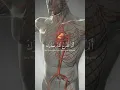 Download Lagu Surah Ash Sharh | Mishary Rashid Al Afasy | Quranic Recitations | #havemercy #religion