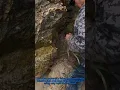 Download Lagu Giant Crab Trap Secret: Zero-Cost Rock Fishing Trick Revealed!
