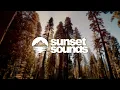 sombr - We Never Dated | Lyrics