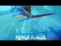 Download Lagu FLY HIGH BUTTERFLY #cycling #bbb #butterfly  #japan   #japanlife