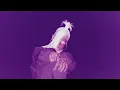 Molly Santana - Can t Touch This