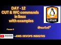 Linux basics CUT command WC command with examples Linux for Devops