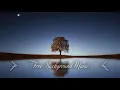 Download Lagu 1 Hour Upbeat Background Music Best MBB Music Collection Free Download No Copyright