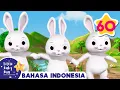 Download Lagu Kelinci Lucu Yang Imut | Little Baby Bum | Kartun dan Lagu Anak | Moonbug Kids Indonesia