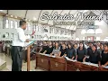 Download Lagu Salvator Mundi - Laudate Choir // Hari Minggu Biasa XXVIII - Paroki St. Yohanes Pemandi Naesleu
