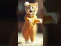 Adorable Yellow Cat Dancing Like a Pro