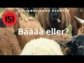 Download Lagu Från berg till stad längs N 2 - PORTUGAL 🇵🇹 