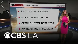 Dani Ruberti s NEXT Weather Forecast