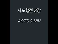 Acts 3 NIV I 3