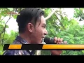 Download Lagu PISAH RANJANG GERRY MAHESA NEW PALLAPA TOMPE 2018