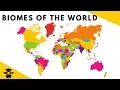 Biomes of World- Desert-Rainforest-Taiga-Deciduous Forest-Grasslands-Savanna-Tundra