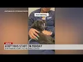 Spartanburg County pet resource center opening doors for adoption