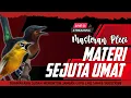 Download Lagu 🔴  LIVE masteran PLECI materi sejuta umat tembakan kowul