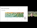 Woodland Savanna Prairie How Native Plant Communities Fit into Your Garden