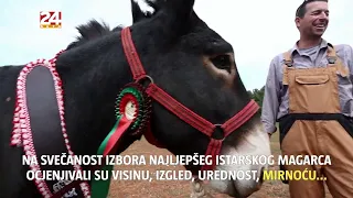 Gledajte '240 sekundi' 24sata! Europol razbio balkansku mrežu kriminala, uhićenje i u RH