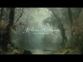 Noah Cyrus & Stephen Wilson Jr. - If There's A Heaven (Official Visualizer)