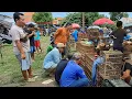 Download Lagu 🔴spil harga burung di kios PBS pasar burung plered cirebon‼️