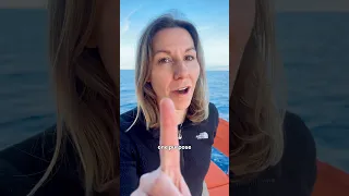 What’s the best catamaran you can buy right now? We try to find out 😅 full video now live! ⛵️