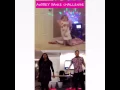 Download Lagu Audrey's dance challenge!
